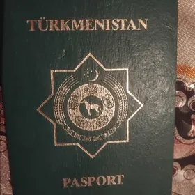 passport yitdi andreyda