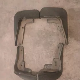 2018 cemry brazgawik