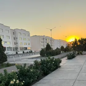 ARENDA KARENDA BERILYAR