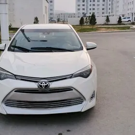 Toyota Corolla 2017