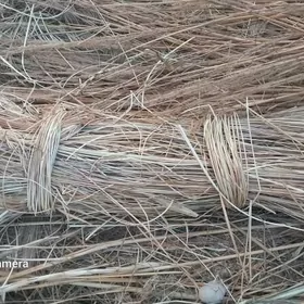 хышша  гамыш  hyşş gamyş