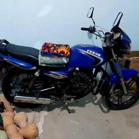 Fekon FK200-14G 2015