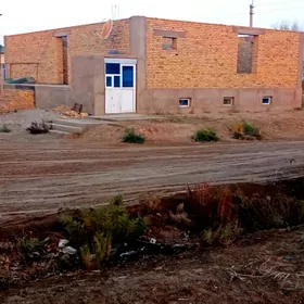 Satlyk Elitka Gyssagly