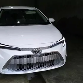 Toyota Corolla 2020