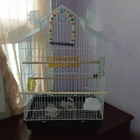 Продается клетка