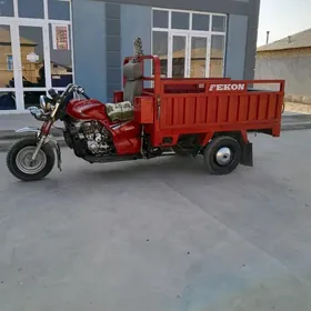 Fekon FK200-14G 2015