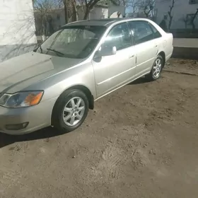 Toyota Avalon 2001