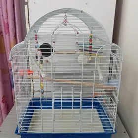 Клетка со скваречником