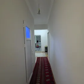 бузмейин томатный