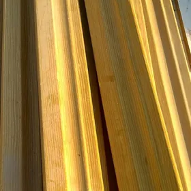 plentus pilimtus plintus agaç