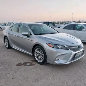 Toyota Camry 2020