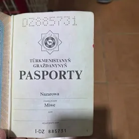 Pasport tapyldy dz
