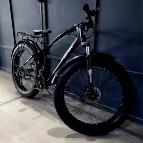 Tokga tekerli tigir.