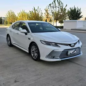Toyota Camry 2019