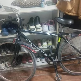 спартианый