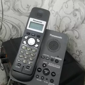 ДОМАШНИЙ. ТЕЛЕФОН.