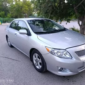 karopla mehanika 2009