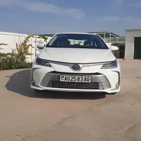 Toyota Corolla 2021