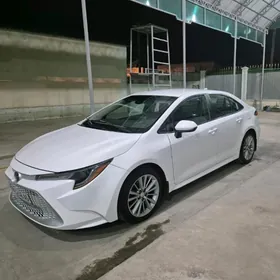 Toyota Corolla 2020