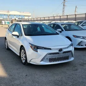 Toyota Corolla 2020