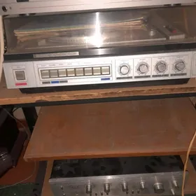 проигрователь