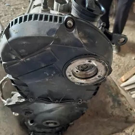 фогис Вагин  сс