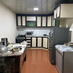 Arenda Jay ! Bekrewe obasy