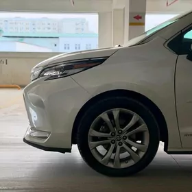Toyota Sienna 2020