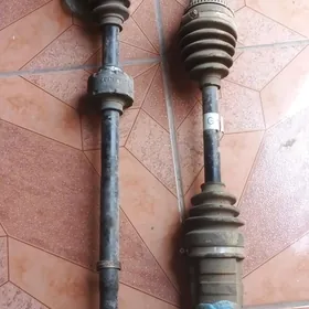 гранат каролла 2011