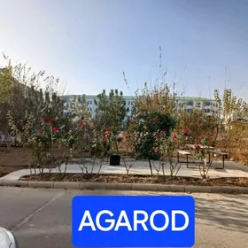 ️ Jemagat buzmeyin