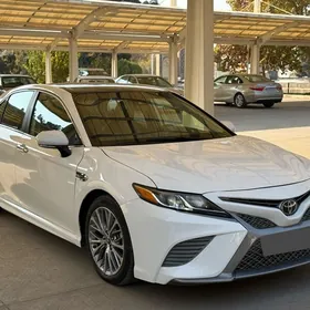 Toyota Camry 2019