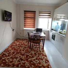 SATLYK JAÝ PLAN ÇOGANLY