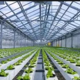 Teplissa Yyladsyhana 15gektar