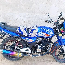 Fekon FK200-14G 2015