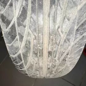 pakryşka_disk_kalpak