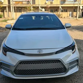 Toyota Corolla 2021