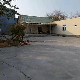 ДОМ! ЧОГОНЛЫ!-