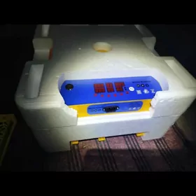 Inkwator taze   56 yumurtgalyk