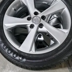 Karolla exskuliziw 16 lyk