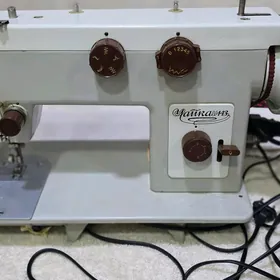 Tikin masyn/чайка