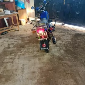 Fekon FK200-14G 2022