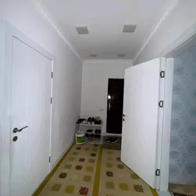 Buzmeyin Gress Ahal arkacka