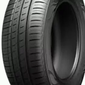 13-lik Saýlun teker