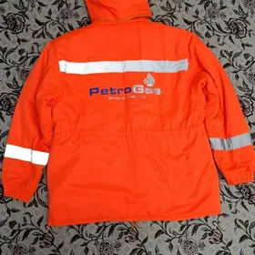 petrogaz. firma eisgi