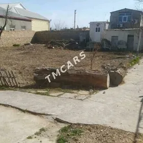 Howly satlyk Mary şäher