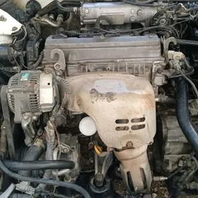 lisicga mator karopga 2.2