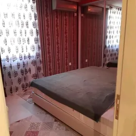 TDU yany 3 talyba 2 kom