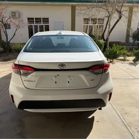 Toyota Corolla 2021