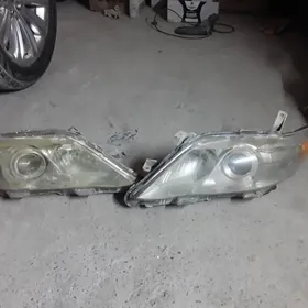 okuz kelle on fara cyra 2010