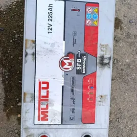 Mutly akymlyator 225lik